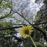 ヒメ日記 2025/04/13 19:35 投稿 みと 出会い系人妻ネットワーク さいたま～大宮編