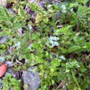 ヒメ日記 2025/04/19 20:35 投稿 みと 出会い系人妻ネットワーク さいたま～大宮編