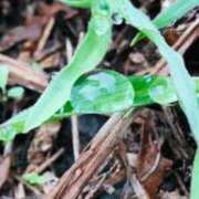 ヒメ日記 2025/05/02 19:35 投稿 みと 出会い系人妻ネットワーク さいたま～大宮編