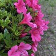 ヒメ日記 2025/05/06 19:35 投稿 みと 出会い系人妻ネットワーク さいたま～大宮編