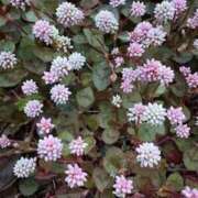 ヒメ日記 2025/05/10 20:15 投稿 みと 出会い系人妻ネットワーク さいたま～大宮編