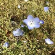 ヒメ日記 2025/05/17 19:22 投稿 みと 出会い系人妻ネットワーク さいたま～大宮編