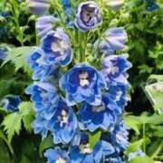 ヒメ日記 2025/05/19 19:42 投稿 みと 出会い系人妻ネットワーク さいたま～大宮編