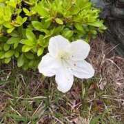 ヒメ日記 2025/05/24 20:03 投稿 みと 出会い系人妻ネットワーク さいたま～大宮編