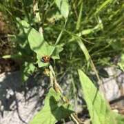 ヒメ日記 2025/05/27 19:42 投稿 みと 出会い系人妻ネットワーク さいたま～大宮編