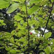 ヒメ日記 2025/05/31 12:27 投稿 みと 出会い系人妻ネットワーク さいたま～大宮編