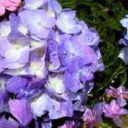 ヒメ日記 2025/06/14 19:22 投稿 みと 出会い系人妻ネットワーク さいたま～大宮編