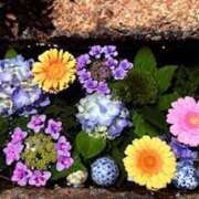 ヒメ日記 2025/06/16 19:42 投稿 みと 出会い系人妻ネットワーク さいたま～大宮編