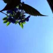 ヒメ日記 2025/06/22 20:52 投稿 みと 出会い系人妻ネットワーク さいたま～大宮編