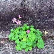 ヒメ日記 2025/06/29 12:22 投稿 みと 出会い系人妻ネットワーク さいたま～大宮編