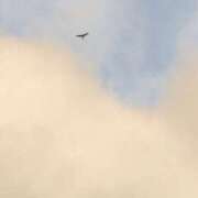 ヒメ日記 2025/06/30 19:32 投稿 みと 出会い系人妻ネットワーク さいたま～大宮編