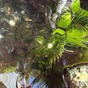 ヒメ日記 2025/07/05 20:12 投稿 みと 出会い系人妻ネットワーク さいたま～大宮編