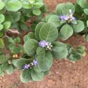 ヒメ日記 2025/07/18 19:52 投稿 みと 出会い系人妻ネットワーク さいたま～大宮編