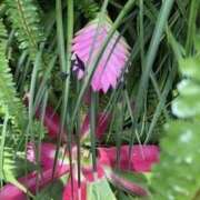 ヒメ日記 2025/07/20 19:22 投稿 みと 出会い系人妻ネットワーク さいたま～大宮編