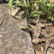 ヒメ日記 2025/07/20 20:02 投稿 みと 出会い系人妻ネットワーク さいたま～大宮編