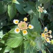 ヒメ日記 2025/07/28 19:42 投稿 みと 出会い系人妻ネットワーク さいたま～大宮編