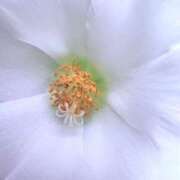 ヒメ日記 2025/08/09 19:22 投稿 みと 出会い系人妻ネットワーク さいたま～大宮編