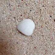 ヒメ日記 2025/08/11 10:42 投稿 みと 出会い系人妻ネットワーク さいたま～大宮編