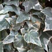 ヒメ日記 2025/08/16 09:22 投稿 みと 出会い系人妻ネットワーク さいたま～大宮編