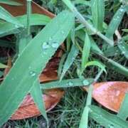 ヒメ日記 2025/08/18 19:32 投稿 みと 出会い系人妻ネットワーク さいたま～大宮編