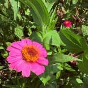 ヒメ日記 2025/08/30 20:52 投稿 みと 出会い系人妻ネットワーク さいたま～大宮編