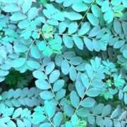 ヒメ日記 2025/08/31 19:52 投稿 みと 出会い系人妻ネットワーク さいたま～大宮編