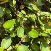 ヒメ日記 2025/09/03 05:02 投稿 みと 出会い系人妻ネットワーク さいたま～大宮編