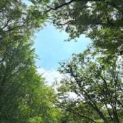 ヒメ日記 2025/09/07 06:12 投稿 みと 出会い系人妻ネットワーク さいたま～大宮編