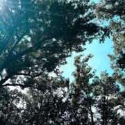 ヒメ日記 2025/09/09 05:02 投稿 みと 出会い系人妻ネットワーク さいたま～大宮編