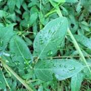 ヒメ日記 2025/09/12 19:42 投稿 みと 出会い系人妻ネットワーク さいたま～大宮編