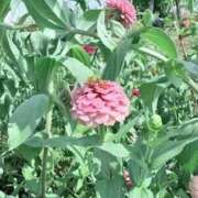 ヒメ日記 2025/09/13 21:02 投稿 みと 出会い系人妻ネットワーク さいたま～大宮編