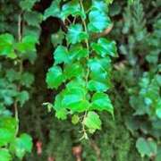 ヒメ日記 2025/09/14 20:32 投稿 みと 出会い系人妻ネットワーク さいたま～大宮編