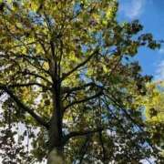 ヒメ日記 2025/09/14 21:12 投稿 みと 出会い系人妻ネットワーク さいたま～大宮編