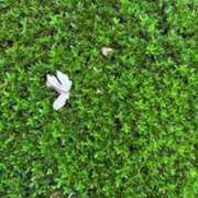 ヒメ日記 2025/09/15 20:12 投稿 みと 出会い系人妻ネットワーク さいたま～大宮編