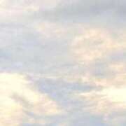 ヒメ日記 2025/09/16 05:02 投稿 みと 出会い系人妻ネットワーク さいたま～大宮編