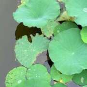 ヒメ日記 2025/09/26 21:02 投稿 みと 出会い系人妻ネットワーク さいたま～大宮編