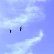 ヒメ日記 2025/09/27 20:52 投稿 みと 出会い系人妻ネットワーク さいたま～大宮編