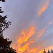 ヒメ日記 2025/09/29 20:02 投稿 みと 出会い系人妻ネットワーク さいたま～大宮編