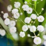 ヒメ日記 2025/09/29 20:42 投稿 みと 出会い系人妻ネットワーク さいたま～大宮編