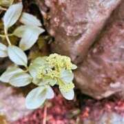 ヒメ日記 2025/10/02 21:02 投稿 みと 出会い系人妻ネットワーク さいたま～大宮編