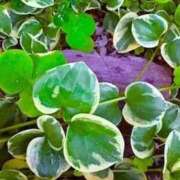 ヒメ日記 2025/10/06 20:00 投稿 みと 出会い系人妻ネットワーク さいたま～大宮編