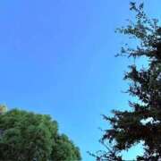 ヒメ日記 2025/10/09 20:02 投稿 みと 出会い系人妻ネットワーク さいたま～大宮編