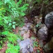 ヒメ日記 2025/10/10 21:02 投稿 みと 出会い系人妻ネットワーク さいたま～大宮編