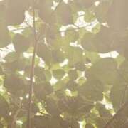 ヒメ日記 2025/10/11 20:12 投稿 みと 出会い系人妻ネットワーク さいたま～大宮編