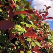 ヒメ日記 2025/10/12 17:22 投稿 みと 出会い系人妻ネットワーク さいたま～大宮編