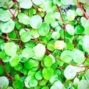 ヒメ日記 2025/10/25 21:02 投稿 みと 出会い系人妻ネットワーク さいたま～大宮編