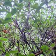 ヒメ日記 2025/10/26 22:12 投稿 みと 出会い系人妻ネットワーク さいたま～大宮編