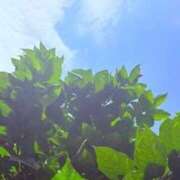 ヒメ日記 2025/11/08 20:22 投稿 みと 出会い系人妻ネットワーク さいたま～大宮編