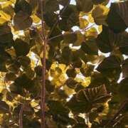 ヒメ日記 2025/11/08 21:22 投稿 みと 出会い系人妻ネットワーク さいたま～大宮編