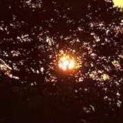 ヒメ日記 2025/11/09 05:22 投稿 みと 出会い系人妻ネットワーク さいたま～大宮編